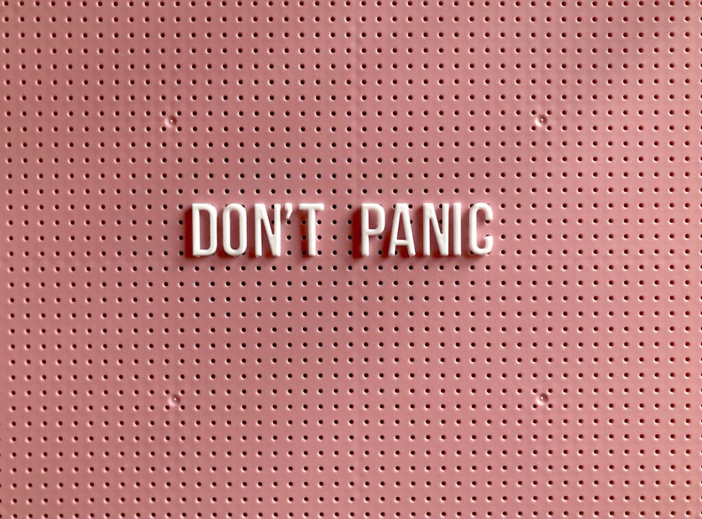 creative CEO business lessons - panic