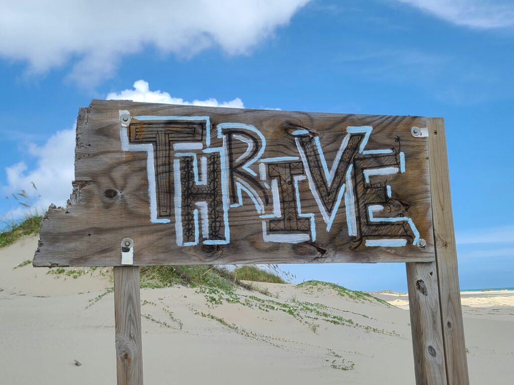 creative CEO business lessons - thrive